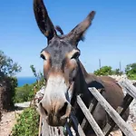 Apartment With Parking Space Bonic, Losinj - 23056 *