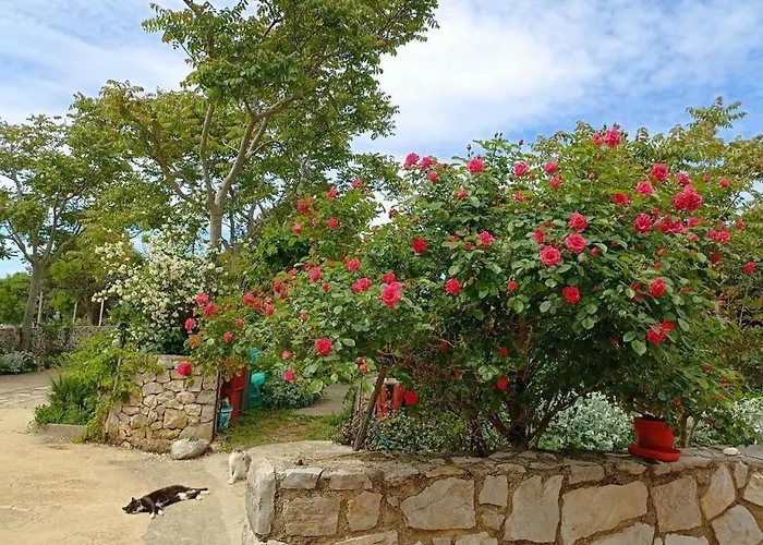 With Parking Space Bonic, Losinj - 23056 Апартаменты *