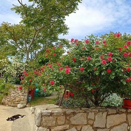 With Parking Space Bonic, Losinj - 23056 Appartamento *